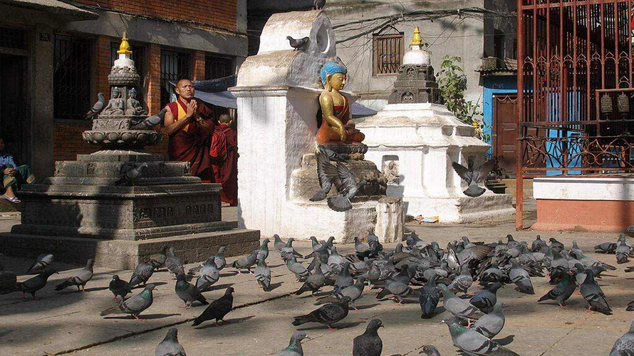 A Tale of Two Cities: Kathmandu and Dhaka